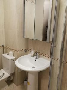 a bathroom with a sink and a toilet and a mirror at D&M APARTMAN 2 in Selce +26 photos