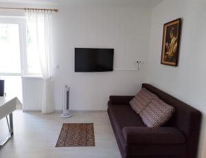 a living room with a couch and a flat screen tv at Rekreačný dom Flóra in Veľký Meder