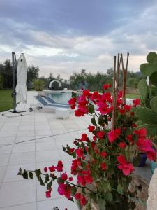The swimming pool at or close to La cicala stonata