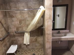 a bathroom with a shower with a sink and a mirror at Budget Inn - New Albany in New Albany