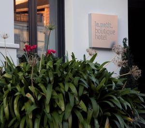 Сад в Le Petit Boutique Hotel