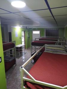 um quarto com várias camas num quarto com paredes verdes em Hostel Richieri em Neuquén