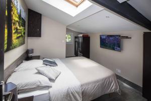 a bedroom with a large white bed and a skylight at La Ravine au bord du loing in Montigny-sur-Loing