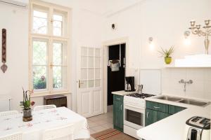 a kitchen with white walls and green cabinets at Schäffer Palace in Szeged
