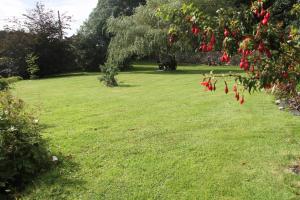 Fotografie z fotogalerie ubytování Marguerite's B&B v destinaci Skibbereen