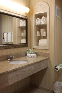 a bathroom with a sink and a mirror at Holiday Inn Express Tehachapi, an IHG Hotel in Tehachapi