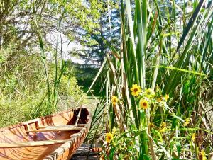 a wooden boat sitting next to some tall grass at Harlem Stonegate B&B in Portland