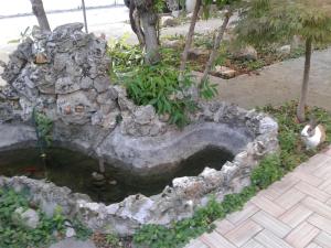 einen Steinbrunnen mit einem Teich im Garten in der Unterkunft B&B William in Padua