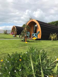 Cabaña de madera pequeña con patio de hierba en Clonakilty Accommodation An Úllórd Getways, en Clonakilty