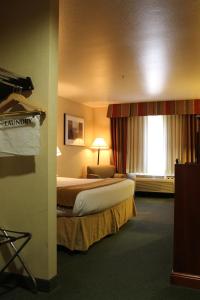 a bedroom with a bed and a desk at Holiday Inn Express Tehachapi, an IHG Hotel in Tehachapi