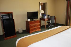 una camera con letto e TV a schermo piatto di Holiday Inn Express Tehachapi, an IHG Hotel a Tehachapi