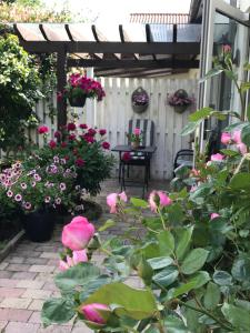 Zahrada ubytování Dadas Bed & Breakfast + 9 fotografií