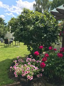 a garden with pink flowers and a large tree at Dadas Bed & Breakfast in Store Heddinge