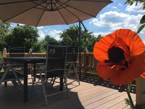 a person in a large red flower on a deck at Holzferienhaus in Gößweinstein