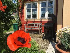 a red flower in front of a house with a window at Holzferienhaus in Gößweinstein