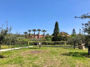 un goal di calcio in un campo con palme di La Stradina a Castellammare di Velia
