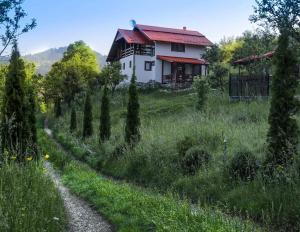 a house in a field with a dirt road at Casa Roman in Vişeu de Sus