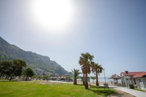 un parque con palmeras y el océano al fondo en AP PUNTA next to sandy beach, apartment with garden, en Omiš