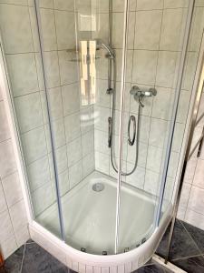 La salle de bains est pourvue d'une douche avec une porte en verre. dans l'établissement Ferienwohnungen Grimma 3, à Grimma
