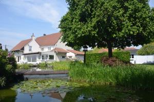 Příroda nedaleko bed and breakfast