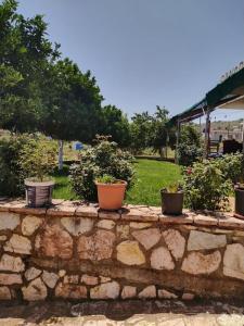 Zahrada ubytování Vila Panorama Ksamil