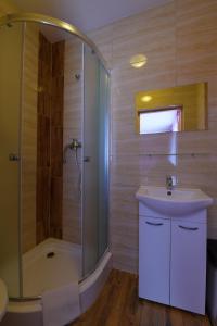 a bathroom with a shower and a sink and a tub at Dom Wczasowy Dunajec in Biały Dunajec