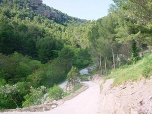 un camino de tierra en medio de un bosque en B&B Villa Chante Coucou, en Fontaine-de-Vaucluse