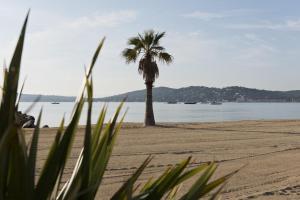 Playa de o cerca de este camping