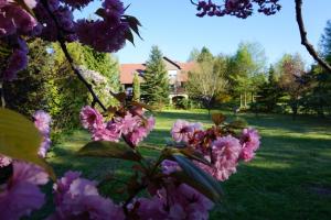 Ein Garten an der Unterkunft Insko Home & Sauna