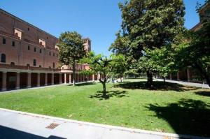 un champ d'herbe planté d'arbres devant un bâtiment dans l'établissement Casa La Salle - Roma Vaticano, à Rome