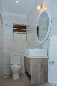 a bathroom with a toilet and a sink and a mirror at Appleton Resort in Nairobi