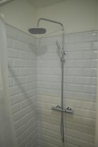 W łazience znajduje się prysznic ze szklanymi drzwiami. w obiekcie MAGIC GARDEN ZAGREB CENTER w Zagrzebiu