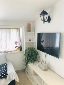 TV a/nebo společenská místnost v ubytování Bila lucica