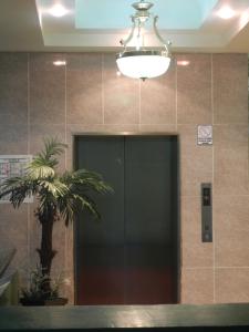 a building elevator with a green door and a palm tree at Hotel Posada Ruiseñor in San Juan de los Lagos