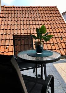une table avec une installation en pot sur le toit dans l'établissement Apartman Kelava, à Vukovar