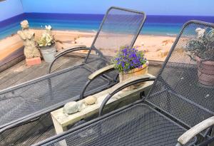 een balkon met stoelen en bloemen op het strand bij B & B Nomad in 't Zand