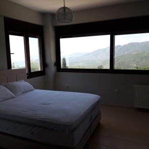 a bedroom with a bed and two windows with a view at Dimitris home in Exochori