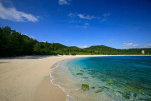 a beach with blue water and trees on it at Cha Villa in Zamami