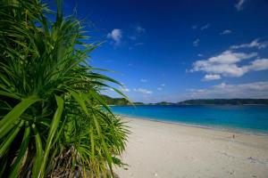 a view of a beach with the ocean in the background at Cha Villa in Zamami