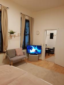 a living room with a television and a couch at Sweet flat in the center of vienna in Vienna