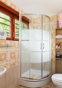 a glass shower in a bathroom with a toilet at Samobor holiday villa - Samoborski ljetnikovac in Samobor