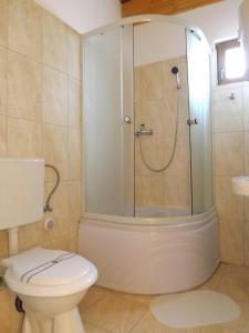 a bathroom with a shower and a toilet at Casa Mister in Sulina