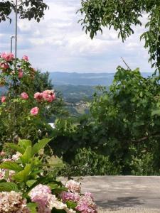 Príroda v okolí apartmánu + 1 fotografia