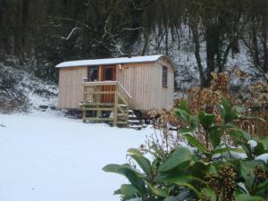 冬天的'Morris' the shepherd's hut and woodland hot tub experience