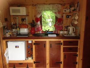 卡马森'Morris' the shepherd's hut and woodland hot tub experience的厨房配有木质橱柜、水槽和窗户
