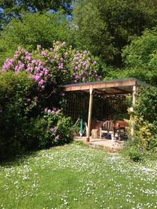 'Morris' the shepherd's hut and woodland hot tub experience外面的花园