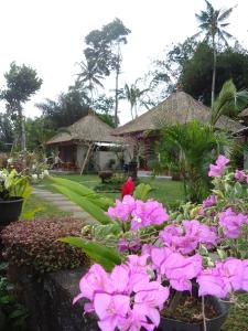 um jardim com flores cor-de-rosa em frente a uma casa em Suka's House Bed & Breakfast em Ubud