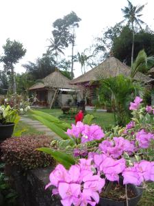 a garden with pink flowers in front of a house at Suka's House Bed & Breakfast in Ubud