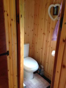 Vonios kambarys apgyvendinimo įstaigoje 'Morris' the shepherd's hut with woodland hot tub