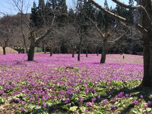 角馆优雅旅馆外面的花园
